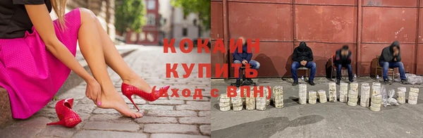 прущий лед Вяземский