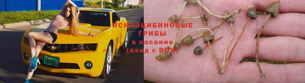 ешки Абинск