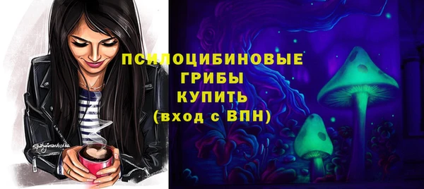 гидропоника Абаза