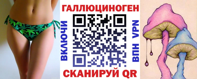 купить наркоту  darknet какой сайт  Псилоцибиновые грибы MAGIC MUSHROOMS  Чегем 